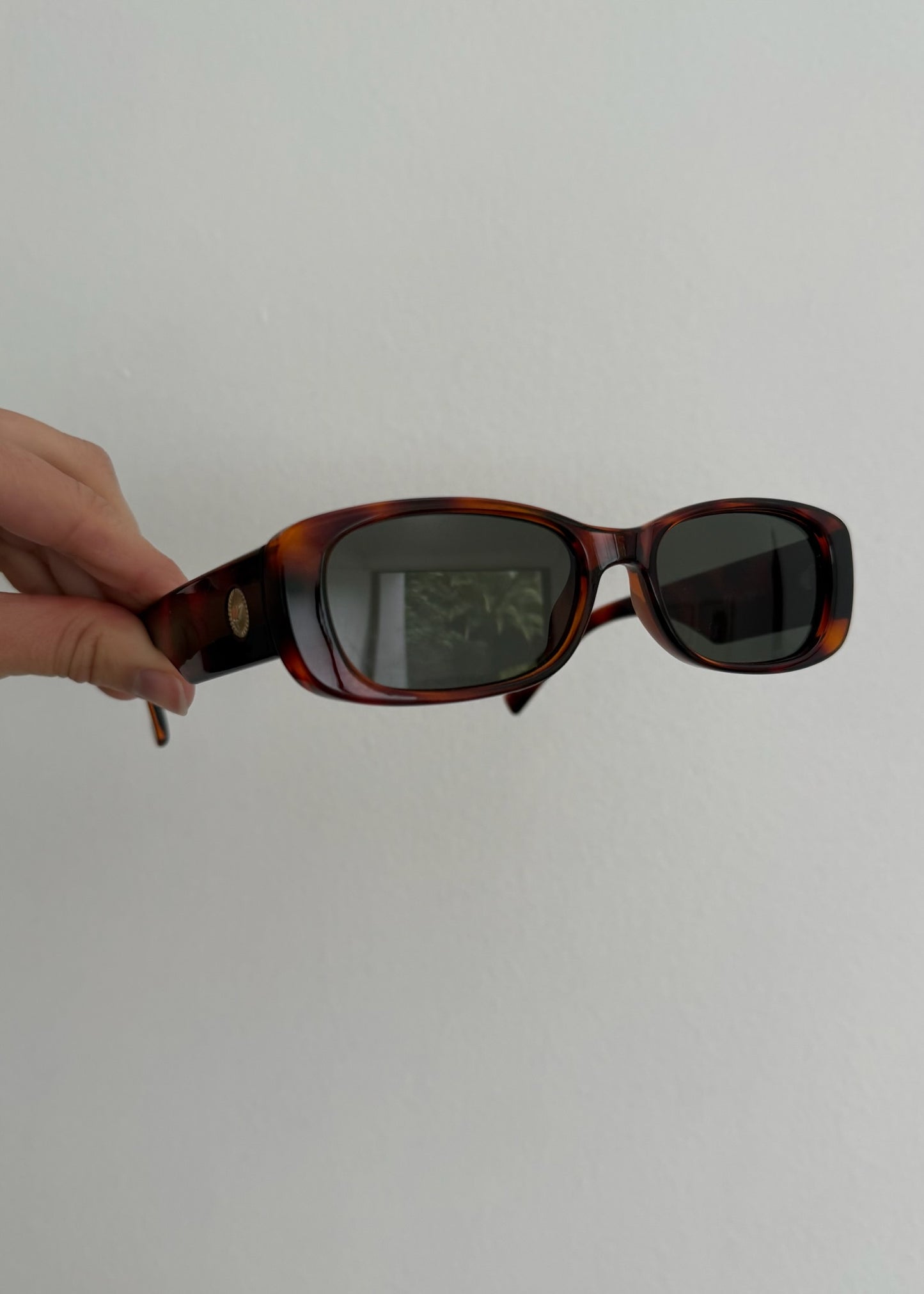 BROWN SUNNIES