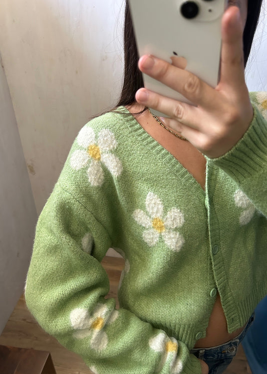 CARDIGAN DAISES
