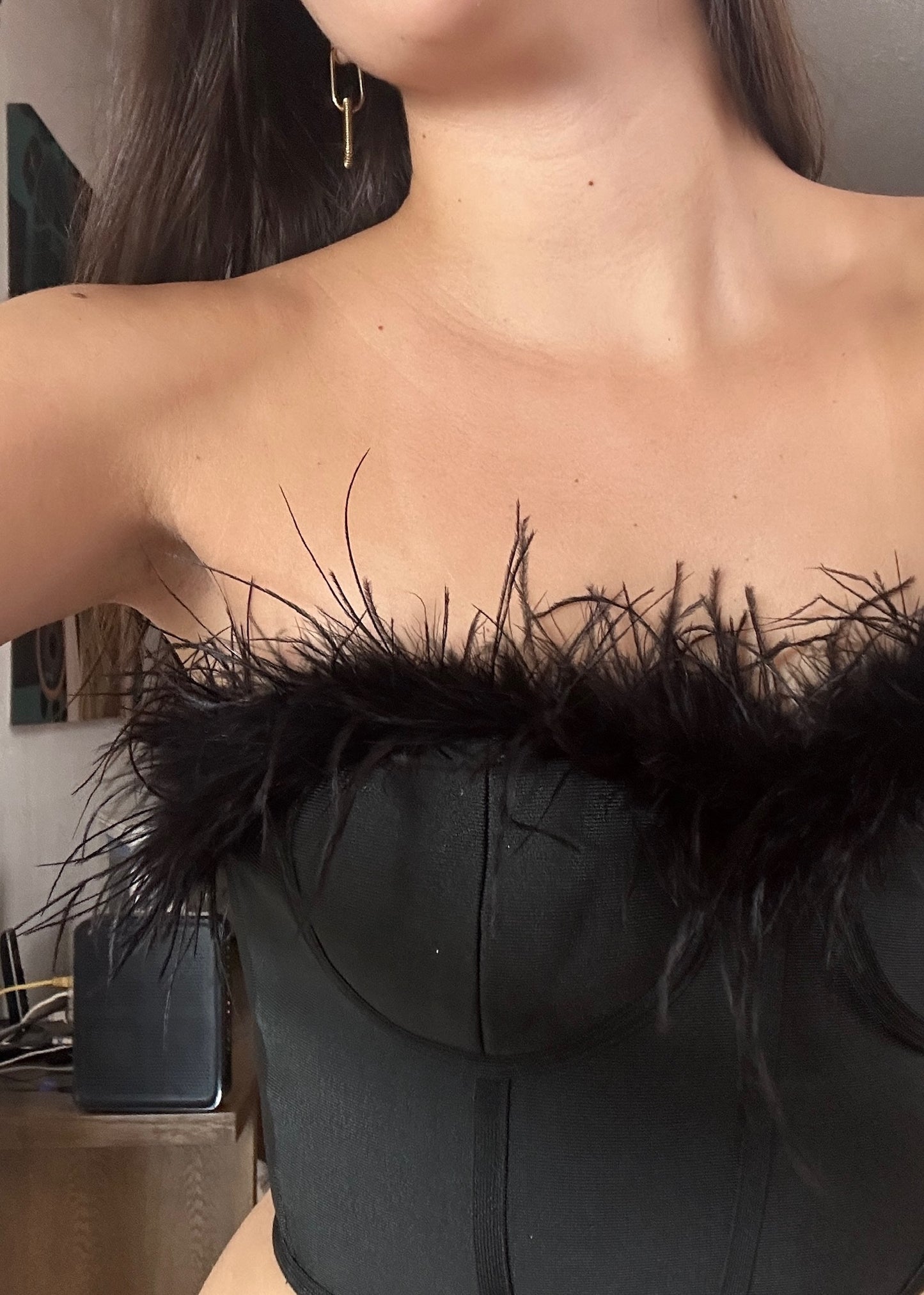 TOP BUSTIER CON PLUMAS